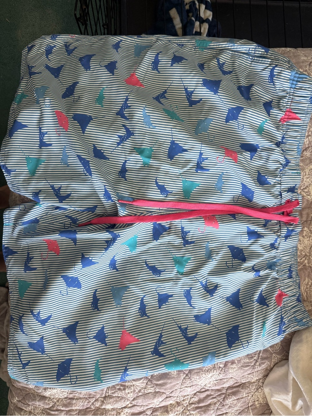 Men's Striped Manta Ray Swim Trunks - Blue/Teal/Pink